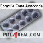 Anaconda Strong Formula 30